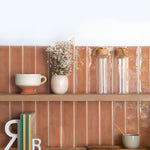 Iberian Linear Terra Cotta - Glossy 10x2.5"