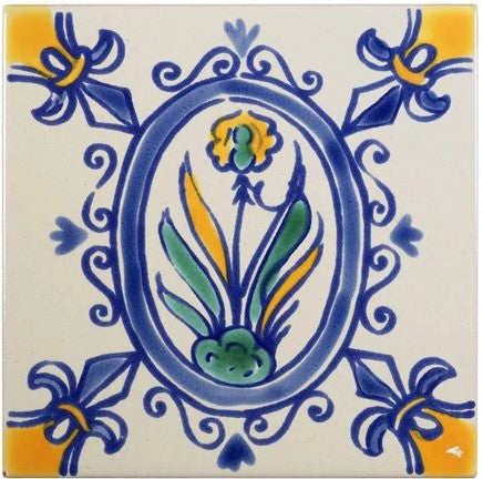 Iris MT019
