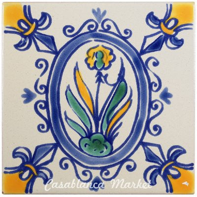 Iris MT019
