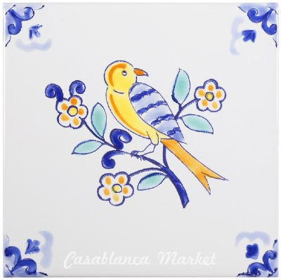Robin MT023